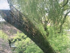 -柳莺湖上·湖景餐厅·江南菜(西湖店)