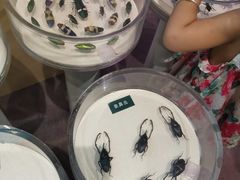 -陕西自然博物馆