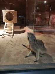 -酷嗒动物文化乐园(cutezoo西溪乐天城店)