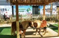 -萌宠亲子动物乐园(槐房万达店)