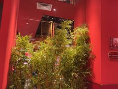 -满园烤鸭·春饼(沈北万达店)