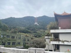 -深圳仙湖植物园