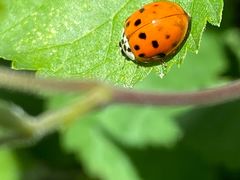-蟠龙山长城景区