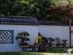 -上海醉白池公园