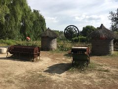 -溱湖国家湿地公园