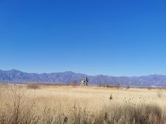 -野鸭湖国家湿地公园