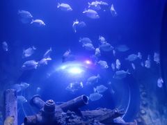 -成都浩海立方海洋公园