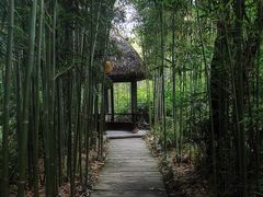 -三苏祠