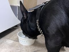 -美联众合动物医院·24h转诊中心