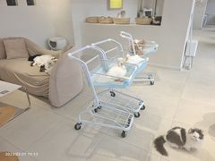 -怪兽屋·羊驼·猫咖·狗咖(俊华广场店)