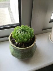 -玲珑秀身坊