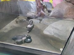 -苏州海洋馆