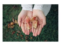 -艾溪湖湿地公园