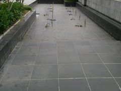 android_upload_pic-上海浦东康桥绿地假日酒店