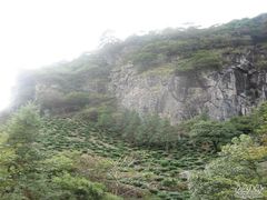 -祁门牯牛降观音堂风景区