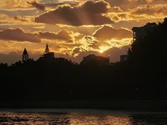 -白鹭洲公园
