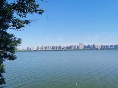 -艾溪湖湿地公园