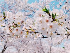 -龙美术馆(西岸馆)