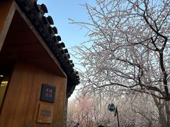-春风习习