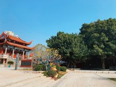 -光明港公园
