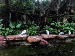 -长鹿旅游休博园