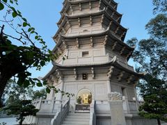 -深圳国际园林花卉博览园