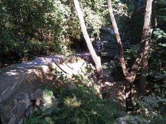 -北京西山国家森林公园