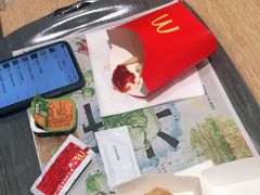 -麦当劳(北京大兴机场二层国内到达(安检外)店)