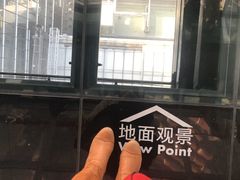 -上海环球金融中心云端足球盛典