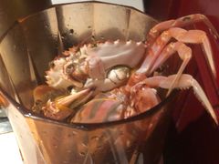 -加餐海鲜自助(宝龙一城店)