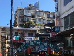 -猫咪博物馆(顶澳仔猫街店)