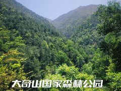 -大奇山国家森林公园