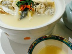 养颜白汁河豚-肆月河豚·新淮扬(金融街店)
