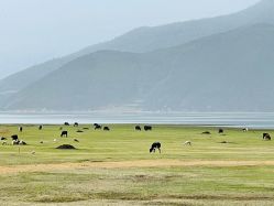 -纳帕海依拉草原
