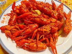 -杨氏青龙虾·羊蝎子(托乐嘉店)