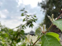 -莲池书院博物馆