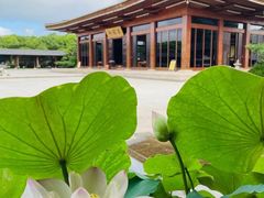 -法华学问寺-停车场