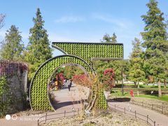 -上海植物园·停车场