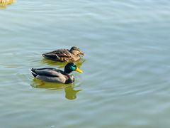 -星巴克(北京新奥购物中心店)