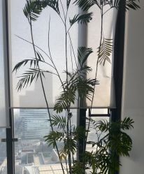 点击看大图 -HYOUNG 禾漾·BTL官方美学中心