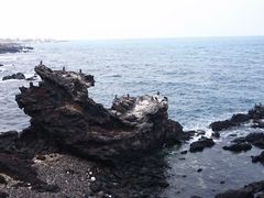-龙头岩(Dragon Head Rock)
