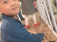 -芜湖新华联大白鲸海洋公园