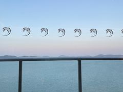 -舟山希尔顿酒店