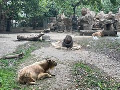 -上海野生动物园