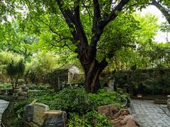 -东莞市可园博物馆