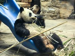 -石家庄市动物园