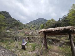 -楠溪江石桅岩
