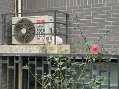 -美联众合爱康动物医院•复杂内科•肿瘤科•牙科•腔镜诊疗中心