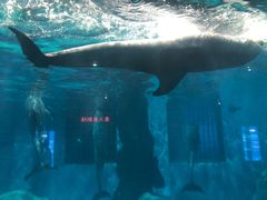 -福州罗源湾海洋世界旅游区