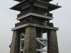 景点-大湾区中央湿地公园